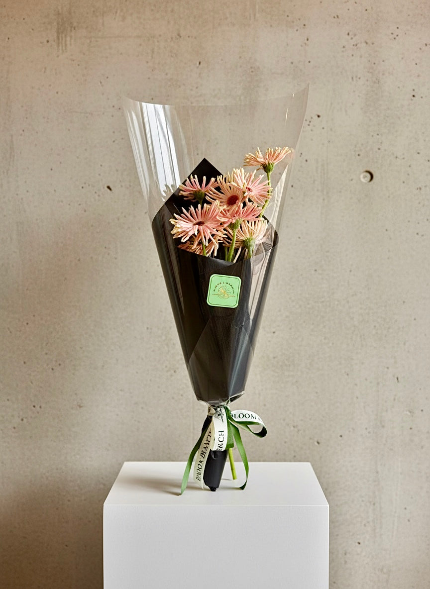 Blush Noodle Gerberas Wrap