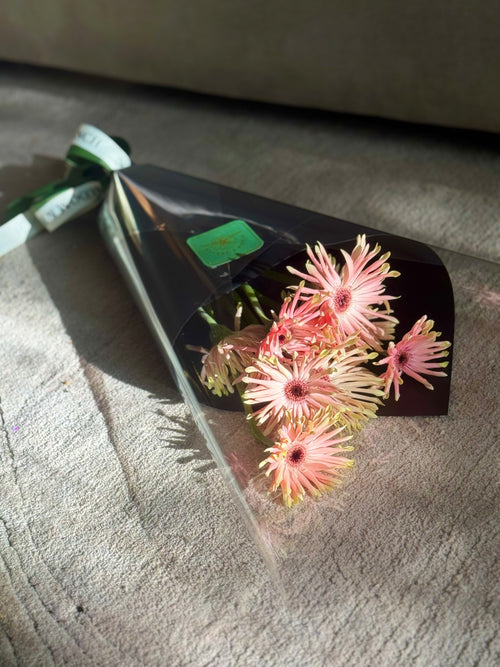 Blush Noodle Gerberas Wrap