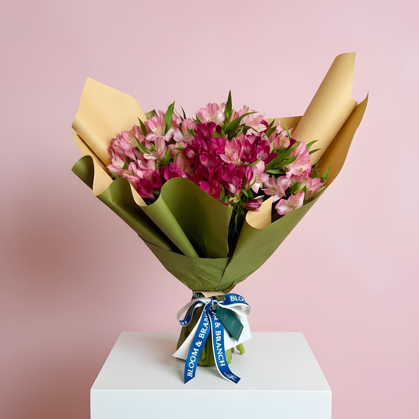 Sweet Pink Alstroemeria