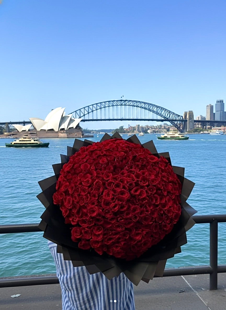 The Ultimate Red Rose Statement