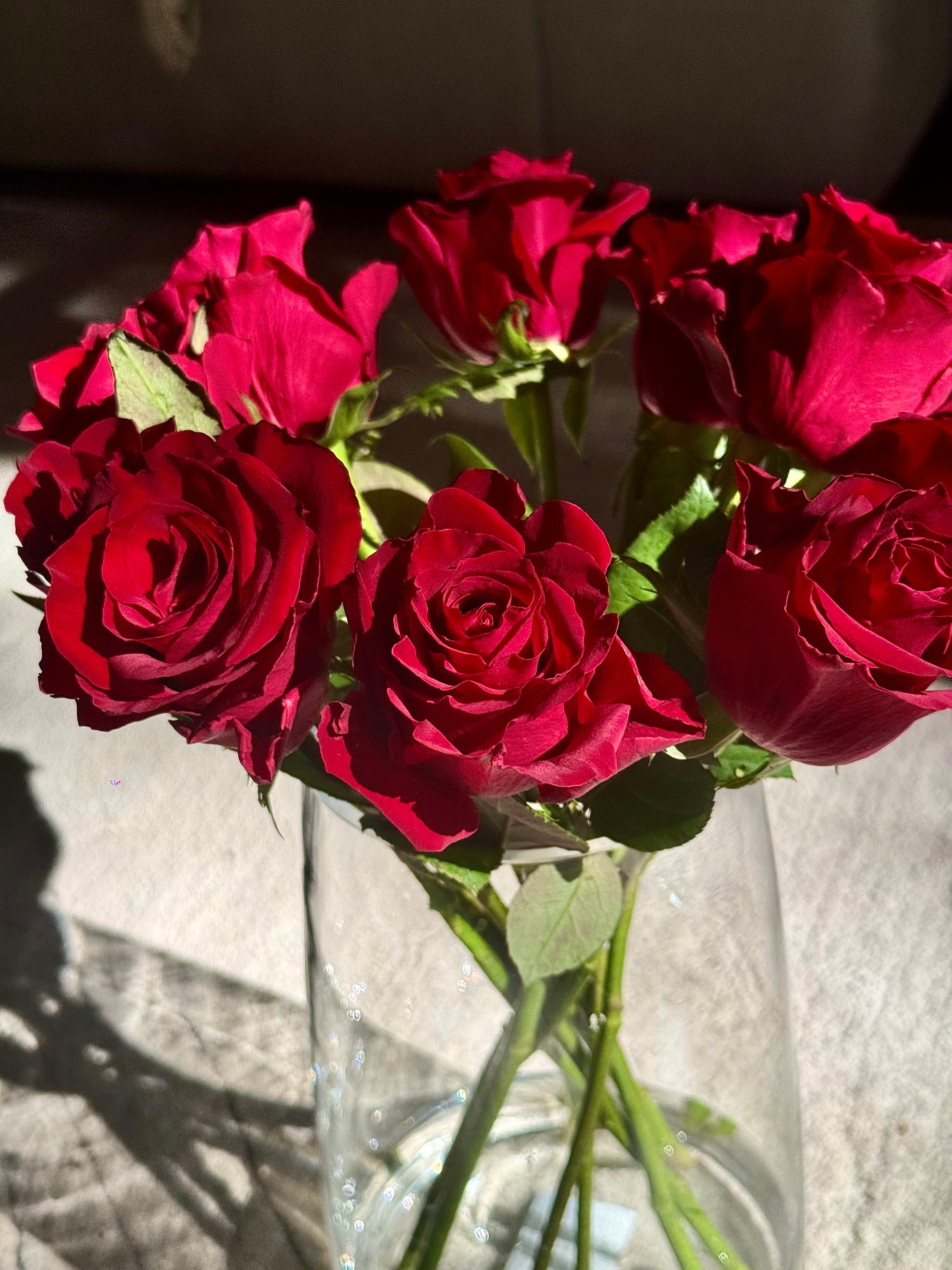 Romance roses in Vase