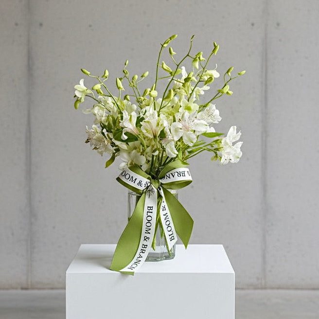 Green Whisper Orchids