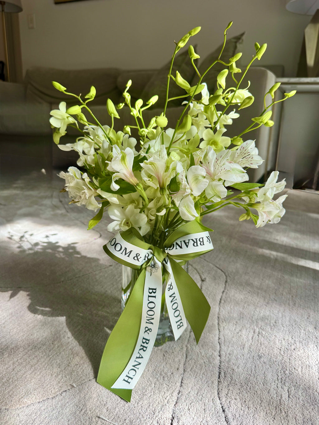 Green Whisper Orchids