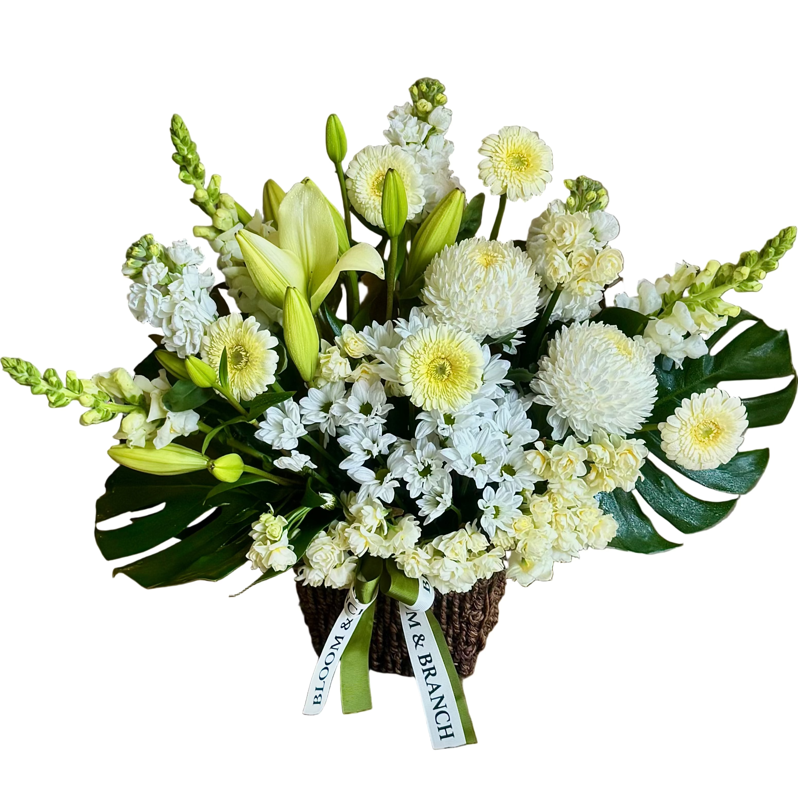 Elegant White Basket