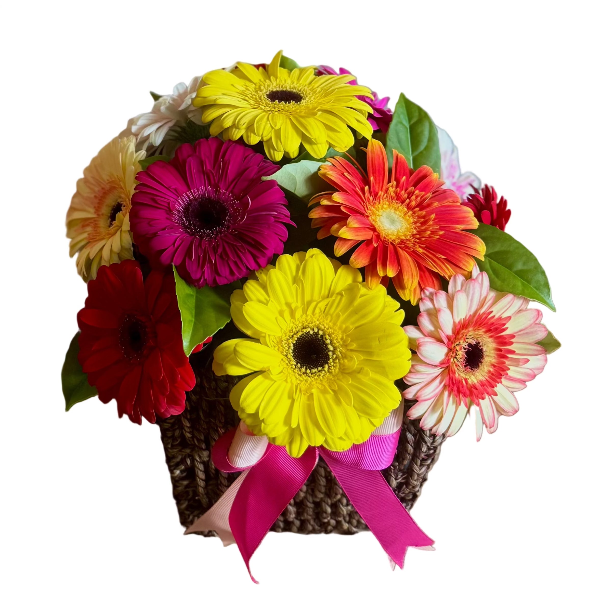 Bright Gerbera Basket