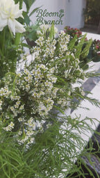 Pure White Elegance Vase Arrangement